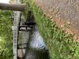 IMG_8567.jpeg